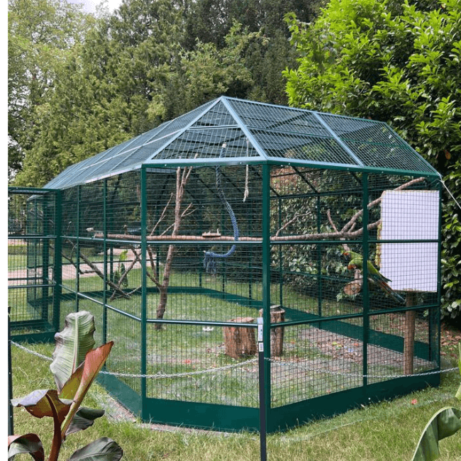 Colony_Co_54_1_
