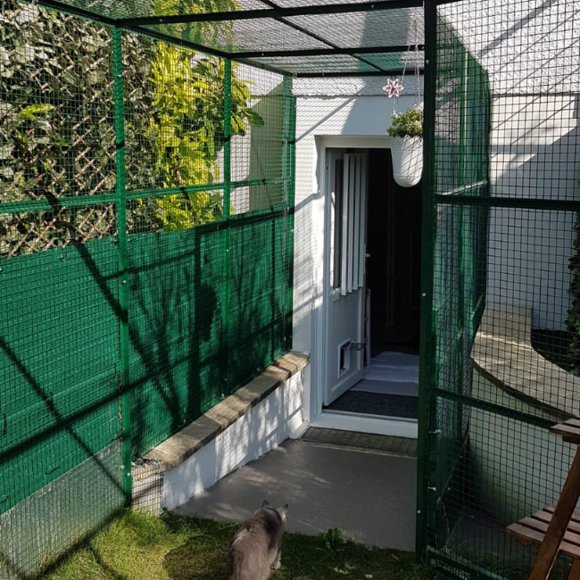 Colony_Co_56_