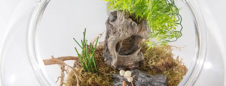 Terrariums Buul 