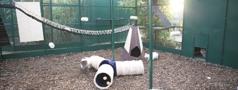 Abri Pour Chat Cage Exterieure Voliere Pour Chat Colony And Co Abri Pour Chat Cage Exterieure Voliere Pour Chat Colony And Co
