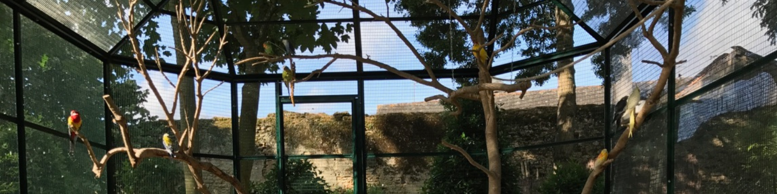 Volières pour oiseaux Volières pour oiseaux