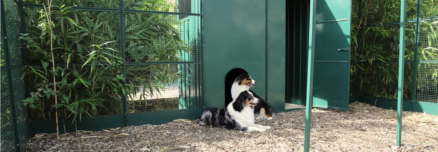 Vente de chenil de jardin : enclos et abris pour chiens Vente de chenil de jardin : enclos et abris pour chiens