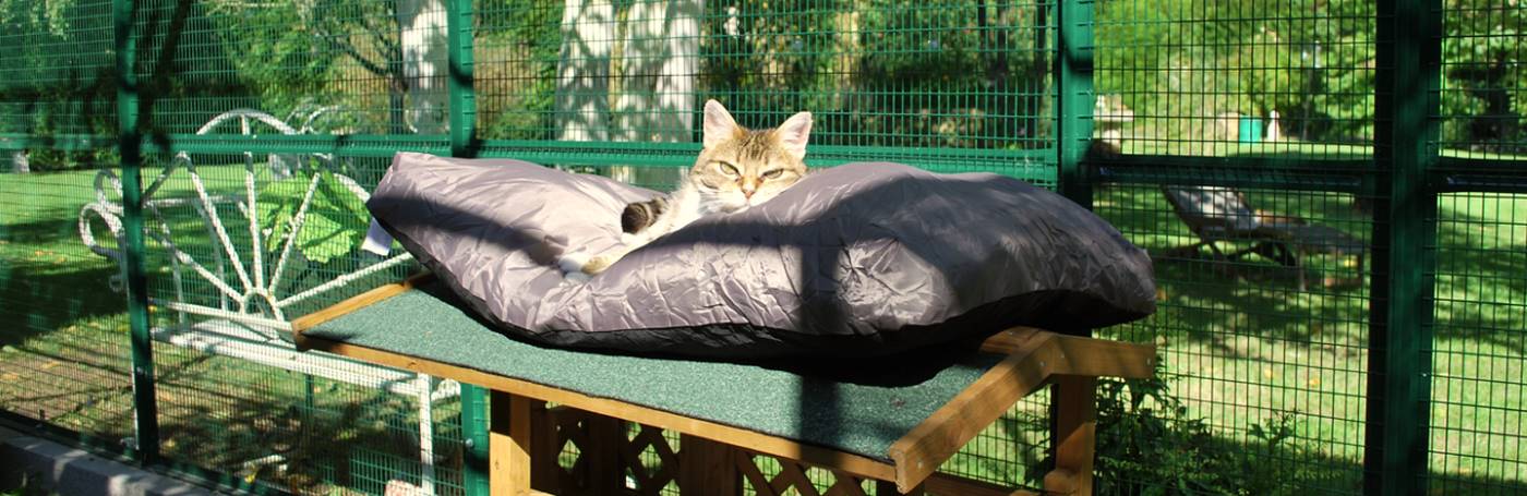 Enclos et abris pour chats Enclos et abris pour chats