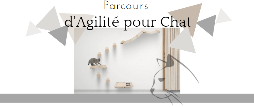 parcours-agility