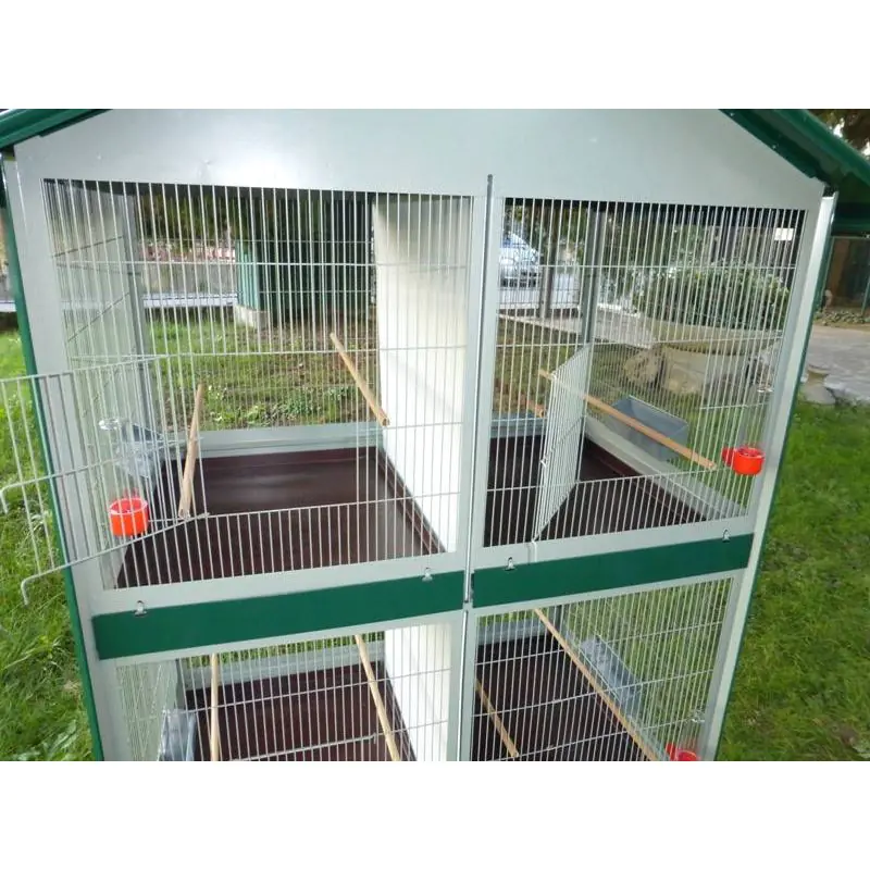 Volière extérieure 4 box pour l'élevage des perruches, canaris et oiseaux  exotiq