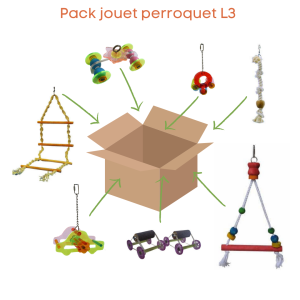 Pack jouet perroquet L3