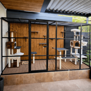 Enclos extérieur pour chats - VOLO - 2m de large