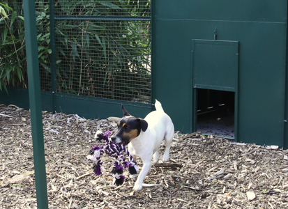 Habitats Intérieurs pour Chien, Sécurité Chien Maison