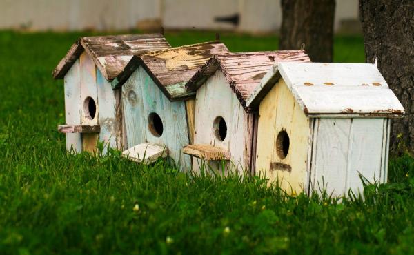 Comment fabriquer un nichoir pour oiseaux : guide pratique