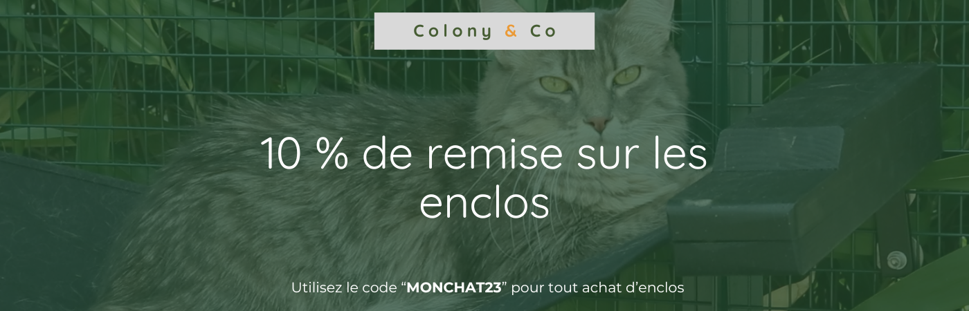 Sans_titre_1400_450_px_2_