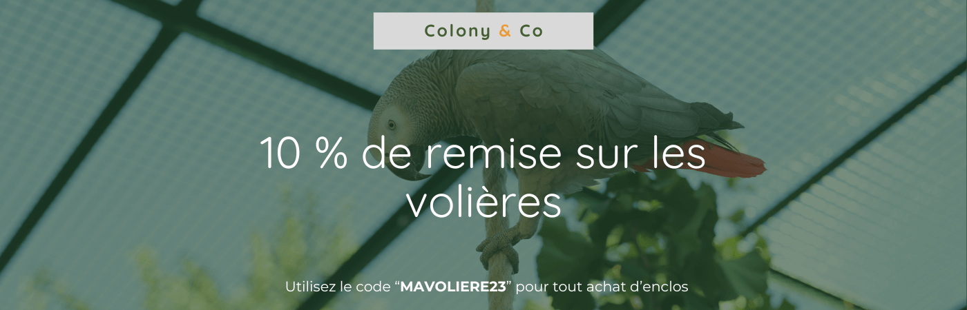 Sans_titre_1400_450_px_3_1_