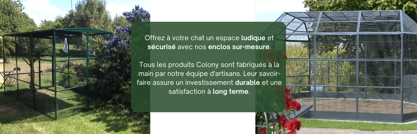 Sans_titre_1600_500_px_1400_500_px_1400_450_px_2_1_