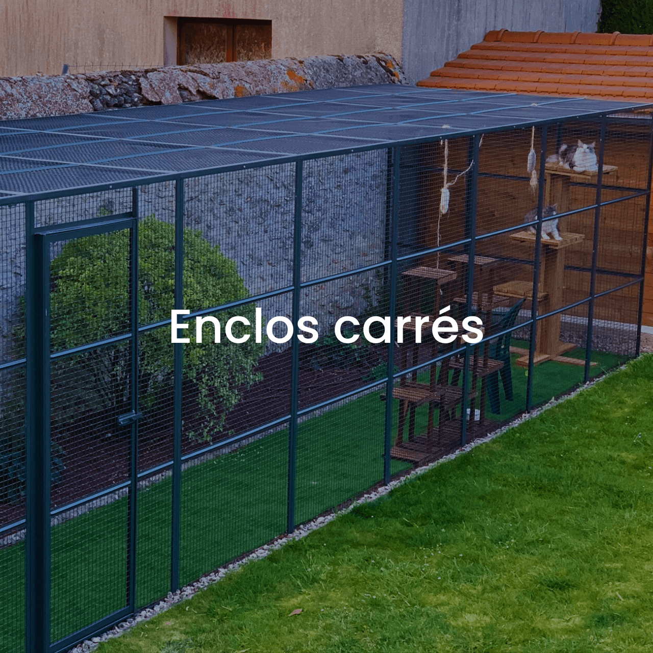 enclos_carr_s_faded