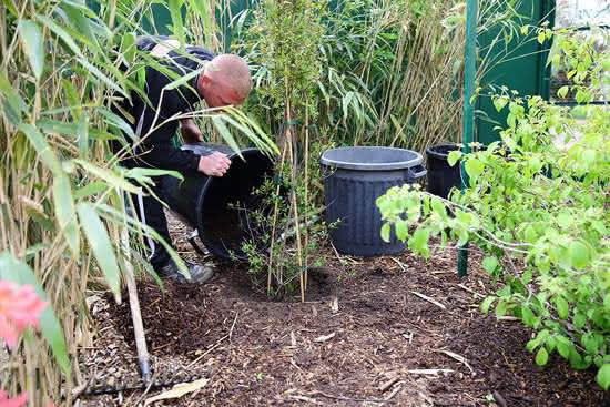 préparer enclos pour chats