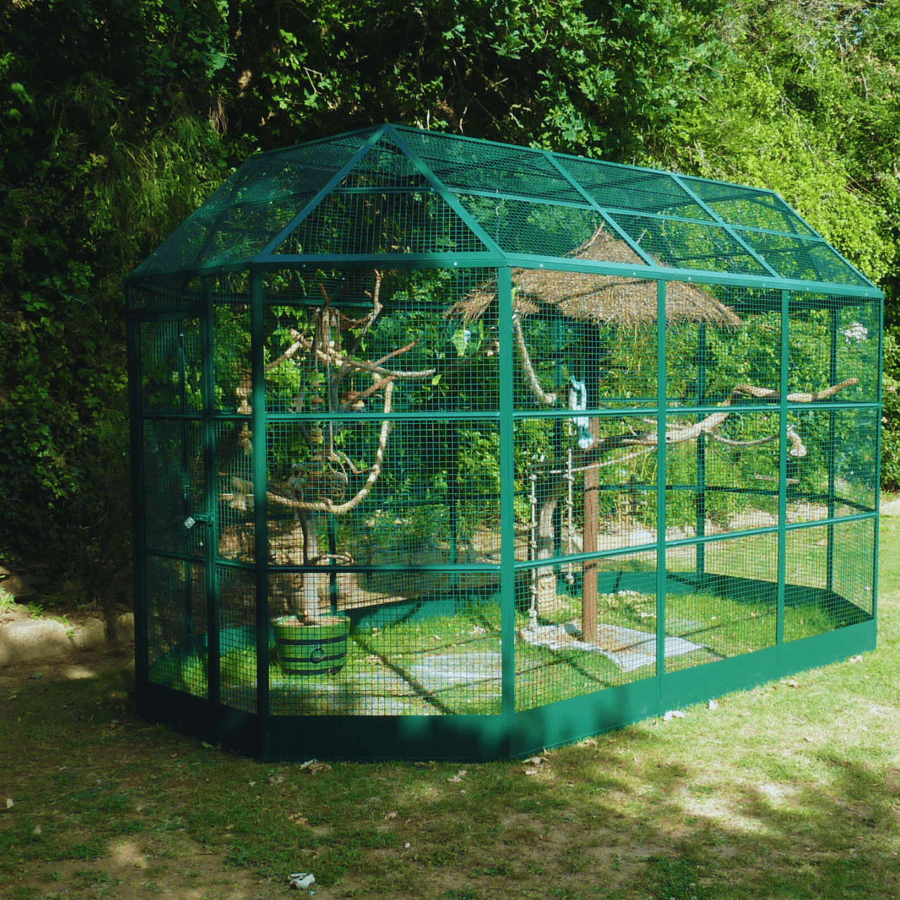 milano_oiseau_HD